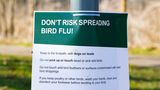 Bird flu warning sign tied to metal pole