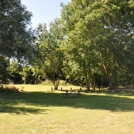 Open grassy area with scattered trees, a wooden picnic bench in the centre, and a parked car near the edge under clear skies.