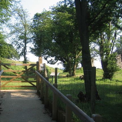 Wooden gate along a fenced path leading into a green wooded area.