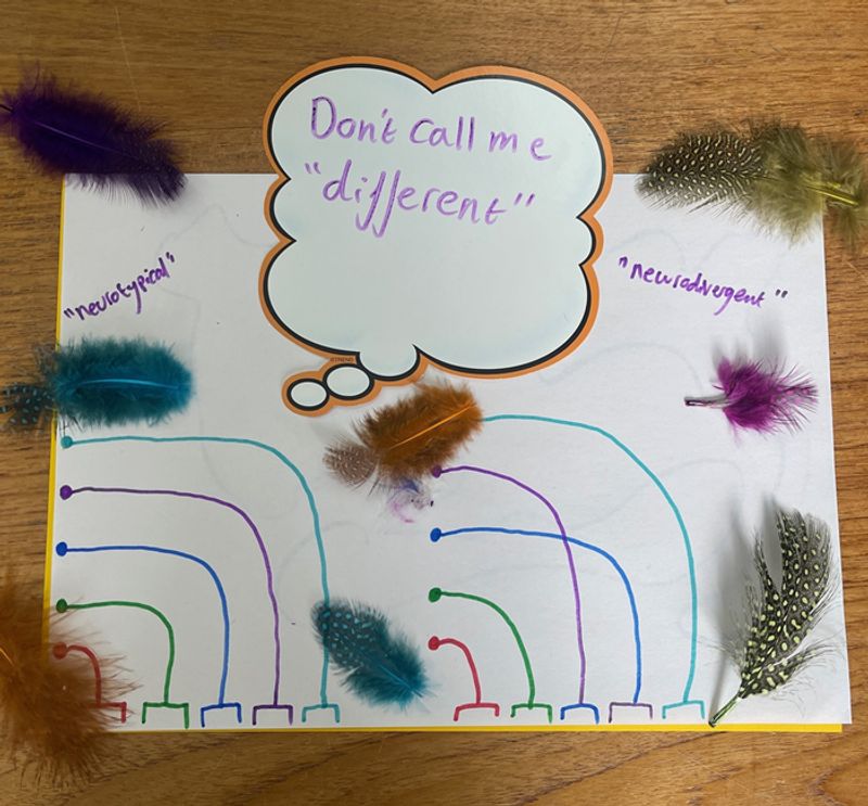 Young person's colourful drawing with feathers on it and a speech bubble which says "don't call me different" and the words neurotypical and neurodivergent are on either side