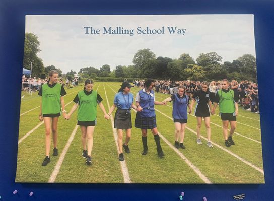 The Malling School sports day inclusion photo