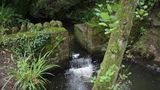 Small waterfall going into a stream at Brockhill Country Park