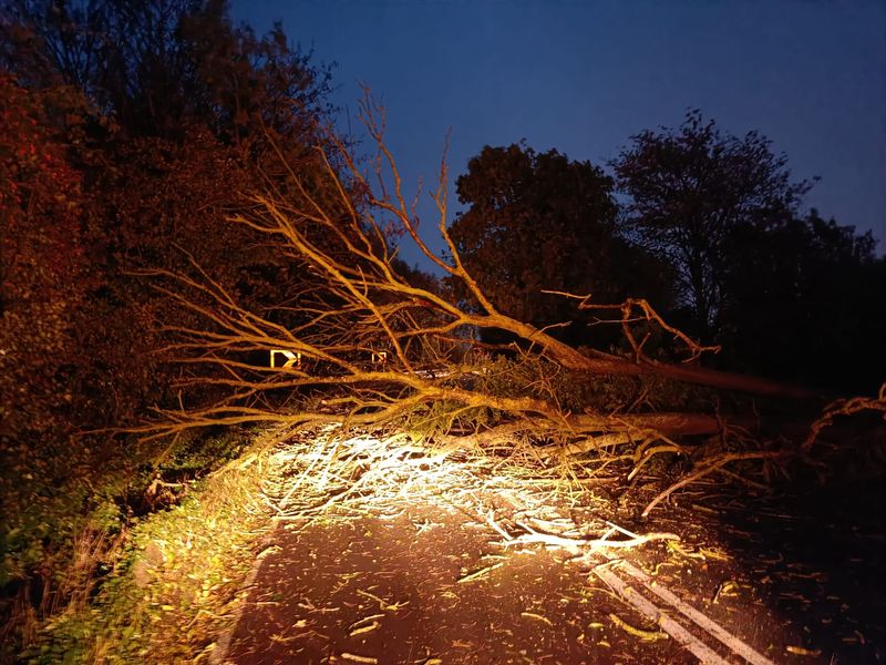 A28 Chartham blocked by fallen tree 