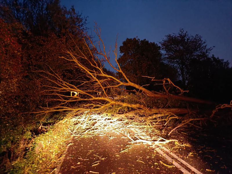 A28 Chartham blocked by fallen tree