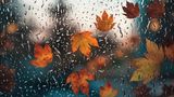 Autumn leaves against a wet window