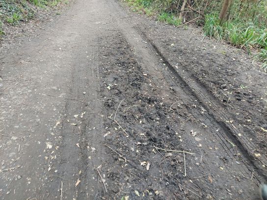 Close-up view of a woodland track showing deep tyre ruts and disturbed muddy ground along one side of the path. Vegetation and trees line the route, with the damaged surface highlighting erosion caused by vehicle use.