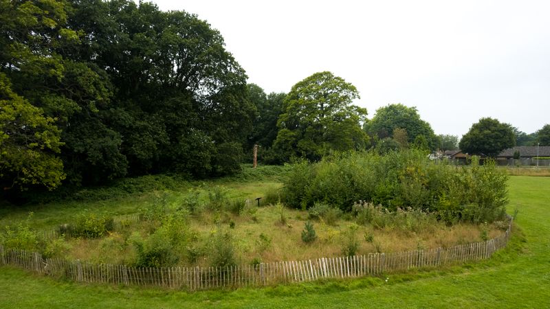 The image shows a picture of a park with trees and green grass. One side of the trial plot are tall trees with the other far fewer trees. 