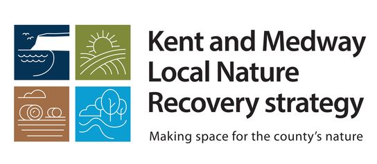 There are four squares which make up one square. Each corner is a different colour, blue, green, light blue, brown. The words say 'Kent and Medway Local Nature Recovery Strategy making space for the county's nature'