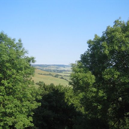 Scenic view of rolling hills and fields framed by green trees under a clear blue sky.