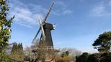 A landscape photo of the windmill.