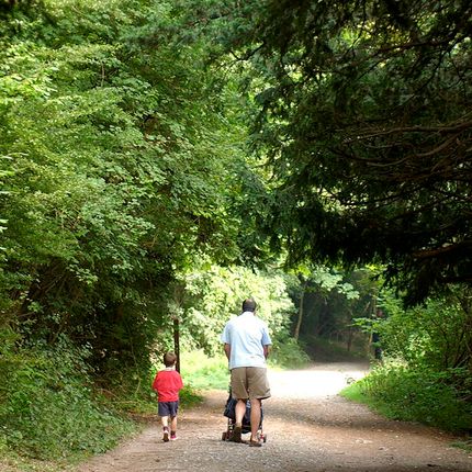 Adult and child walking along a wide woodland path with trees arching overhead.