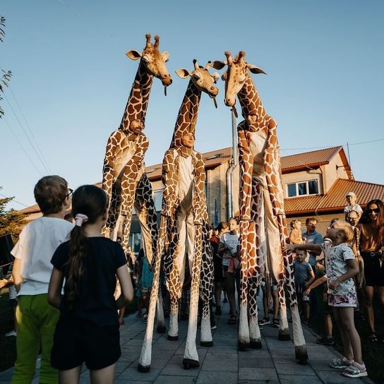 A performance showing four tall performers on stilts wearing giraffe‑patterned costumes, creating the appearance of towering giraffes. A group of children and adults stand around them in an outdoor area near buildings under a clear sky.