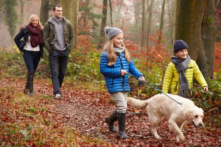 Two children in colourful winter jackets walk a dog along  leaf-covered woodland path in autumn. Two adults follow behind 
