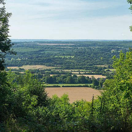 Panoramic view of green fields and woodland stretching into the distance under a clear sky.