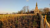 A photo of a plot of land with small trees that have just been planted. There is a church in the back.