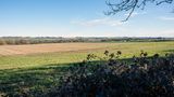 A photograph of a field with blue skies.