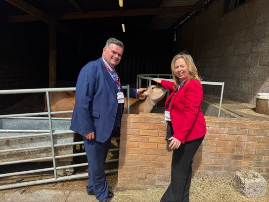 A man and a woman stand in a farm with the woman stroking a cow
