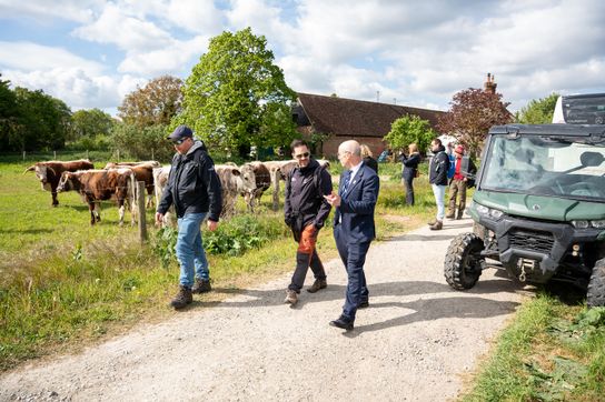 People walking and talking along a farm track beside a field of cattle, with trees, farm buildings and a utility vehicle visible under a partly cloudy sky.