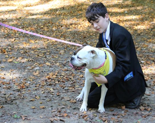 Young person with PAT dog