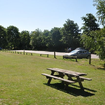 A green open space with a picnic table to the right and trees in the background.