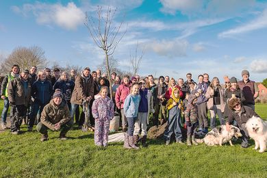 Our work to establish more trees in Kent - Kent County Council