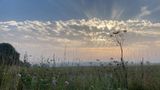 Dawn breaks over a meadow