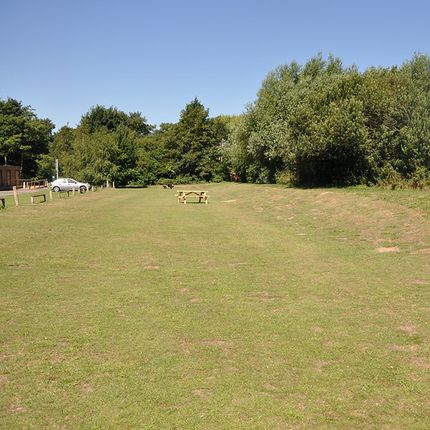 Open grassland with trees in the background and a bright blue sky.