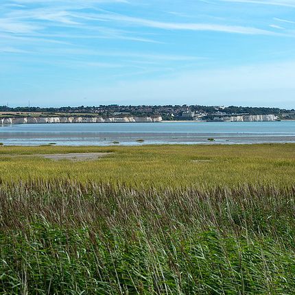 Wide view of coastal marshland with green reeds and grasses, calm water, and chalk cliffs in the distance under a blue sky.