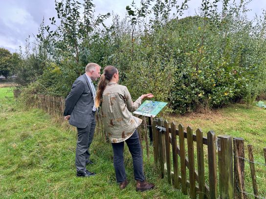 Two people look at a sign. They are standing in a park with trees next to them. 