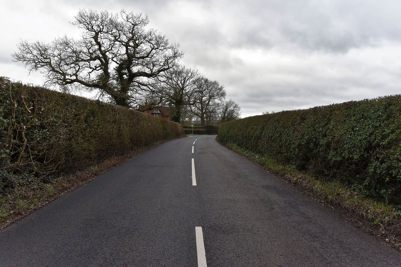 A narrow rural road with a single white centre line, bordered closely by tall, neatly trimmed hedges on both sides. Bare trees rise behind the hedges under an overcast grey sky