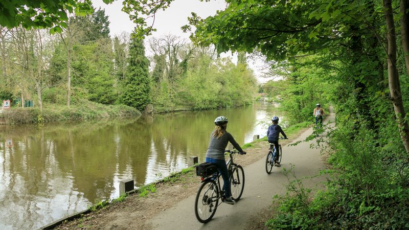 Three people on bikes ride through greenery next to a river.