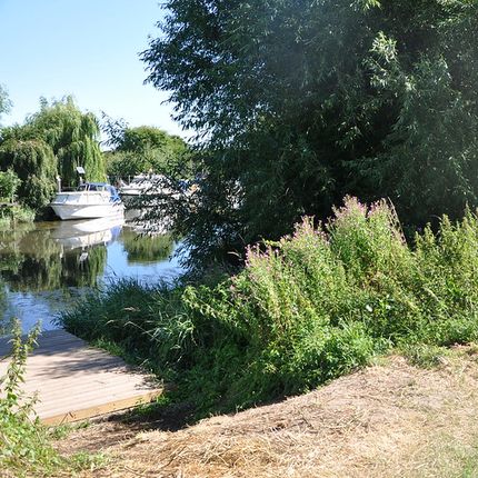 Riverside scene with a wooden dock leading to calm water, surrounded by dense green vegetation and tall trees. A few boats are moored along the riverbank in the background under a clear blue sky.
