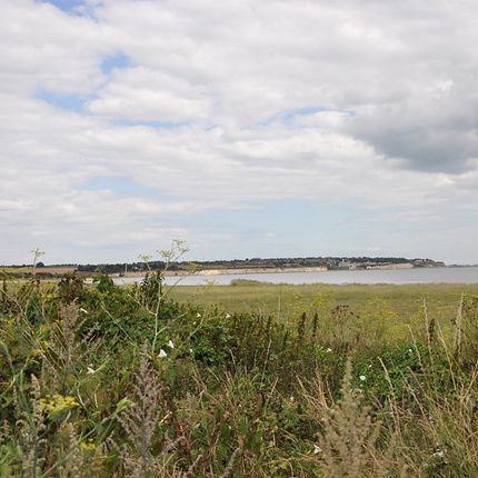 Marshy coastal landscape with mixed vegetation and cloudy sky, distant shoreline visible across the water.