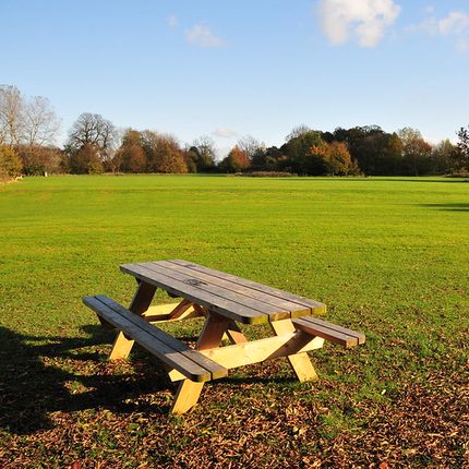Wooden picnic bench on a grassy field with scattered autumn leaves and trees in the distance.